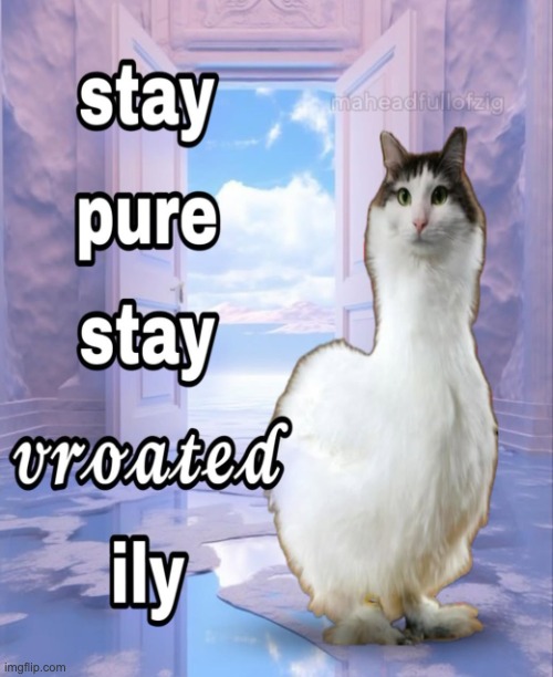 Vroated | image tagged in vroated | made w/ Imgflip meme maker