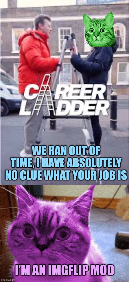 Stumped | WE RAN OUT OF TIME, I HAVE ABSOLUTELY NO CLUE WHAT YOUR JOB IS; I’M AN IMGFLIP MOD | image tagged in career ladder,raycat derp,memes | made w/ Imgflip meme maker