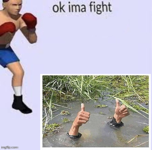 image tagged in ok ima fight | made w/ Imgflip meme maker