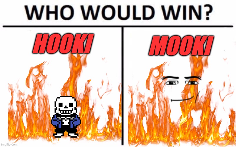Huki Muki | HOOKI; MOOKI | image tagged in memes,who would win | made w/ Imgflip meme maker