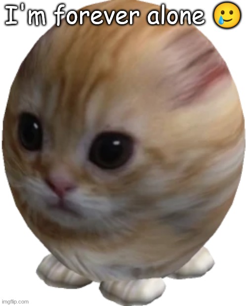 egg gatito | I'm forever alone 🥲 | image tagged in egg gatito | made w/ Imgflip meme maker