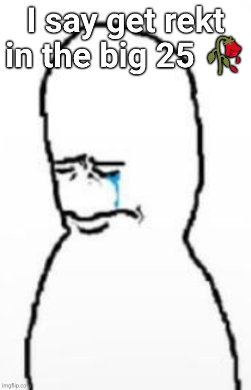 Sad fallenchungus guy | I say get rekt in the big 25 🥀 | image tagged in sad fallenchungus guy | made w/ Imgflip meme maker