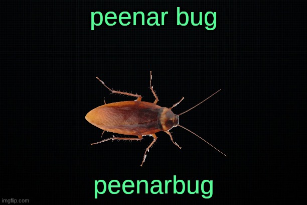 peenar bug | peenar bug; peenarbug | image tagged in the black | made w/ Imgflip meme maker