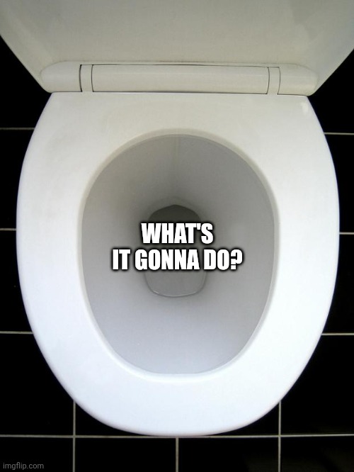 TOILET | WHAT'S IT GONNA DO? | image tagged in toilet | made w/ Imgflip meme maker