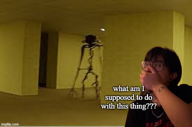 creep vs entity | what am I supposed to do with this thing??? | image tagged in backrooms entity | made w/ Imgflip meme maker