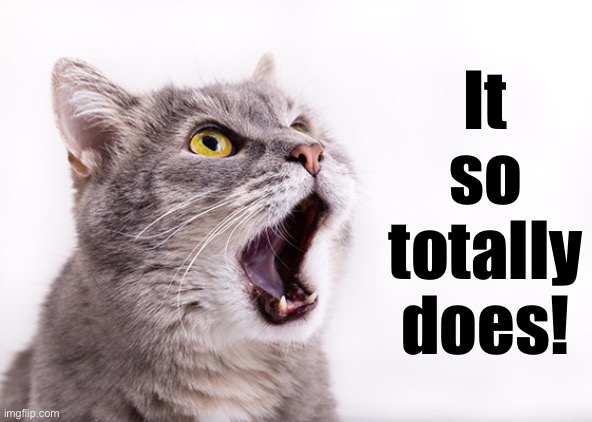 It so totally does! | made w/ Imgflip meme maker