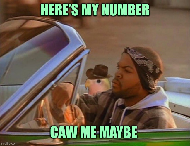 Today was a good day | HERE’S MY NUMBER; CAW ME MAYBE | image tagged in today was a good day | made w/ Imgflip meme maker