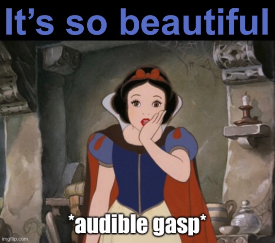 It’s so beautiful | made w/ Imgflip meme maker