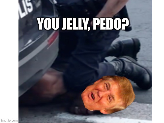 Blank White Template | YOU JELLY, PEDO? | image tagged in blank white template | made w/ Imgflip meme maker