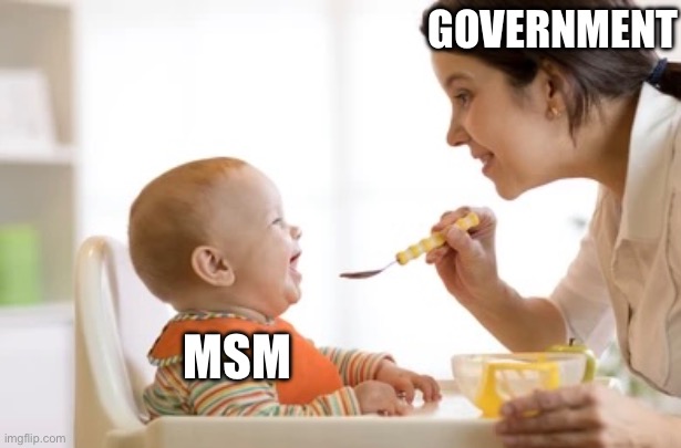 Investigative journalism is a lost art. | GOVERNMENT; MSM | made w/ Imgflip meme maker