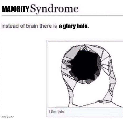 instead of brain there is x | MAJORITY; a glory hole. | image tagged in instead of brain there is x | made w/ Imgflip meme maker