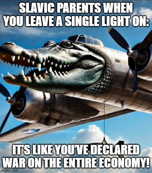 Bombardino Crocodilo | SLAVIC PARENTS WHEN YOU LEAVE A SINGLE LIGHT ON:; IT’S LIKE YOU’VE DECLARED WAR ON THE ENTIRE ECONOMY! | image tagged in bombardino crocodilo,slavic live,slavic lives matter | made w/ Imgflip meme maker