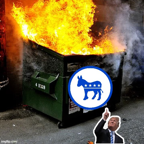 Dumpster Fire | image tagged in dumpster fire | made w/ Imgflip meme maker