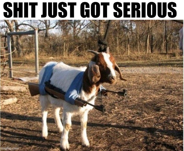 Shit Just Got Serious | SHIT JUST GOT SERIOUS | image tagged in chrisjoines1 | made w/ Imgflip meme maker