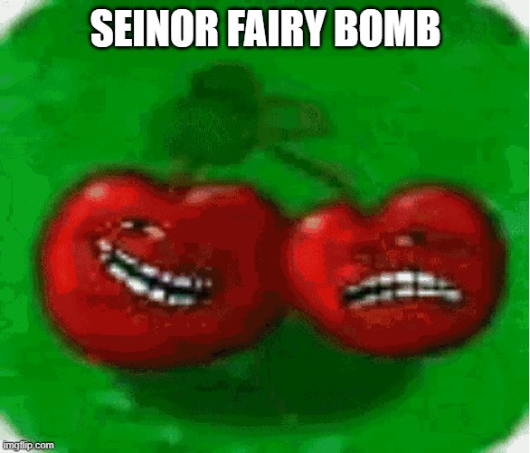 Seinor Fairy Bomb | SEINOR FAIRY BOMB | image tagged in funny memes | made w/ Imgflip meme maker