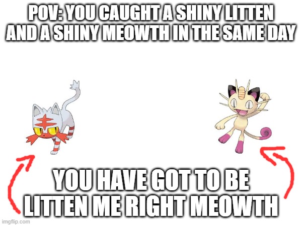 Pun intended | POV: YOU CAUGHT A SHINY LITTEN AND A SHINY MEOWTH IN THE SAME DAY; YOU HAVE GOT TO BE LITTEN ME RIGHT MEOWTH | image tagged in pokemon | made w/ Imgflip meme maker