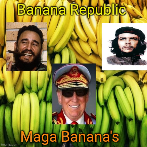 We don't grow bananas in America but maga has more than it's share. | Banana Republic; Maga Banana's | image tagged in trump,bananas dictator,maga trump man love,authoritarian regime,come on swollen ankles | made w/ Imgflip meme maker