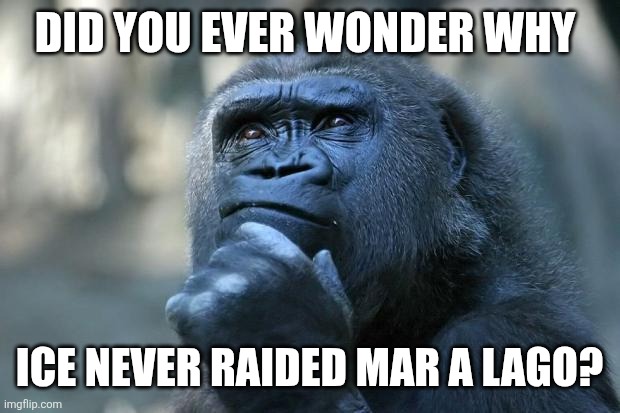 ICE raids | DID YOU EVER WONDER WHY; ICE NEVER RAIDED MAR A LAGO? | image tagged in deep thoughts,politics | made w/ Imgflip meme maker
