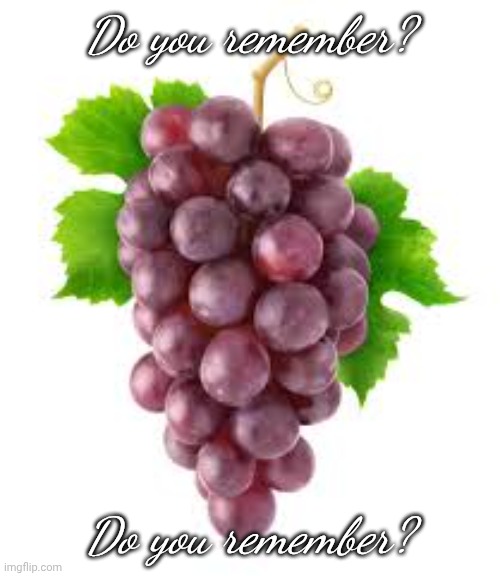 The Grapes of Forgetfulness | Do you remember? Do you remember? | image tagged in the grapes of forgetfulness | made w/ Imgflip meme maker
