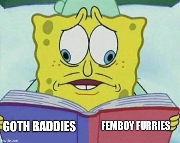 My 2 brain cells have entirely different preferences | FEMBOY FURRIES; GOTH BADDIES | image tagged in cross eyed spongebob | made w/ Imgflip meme maker