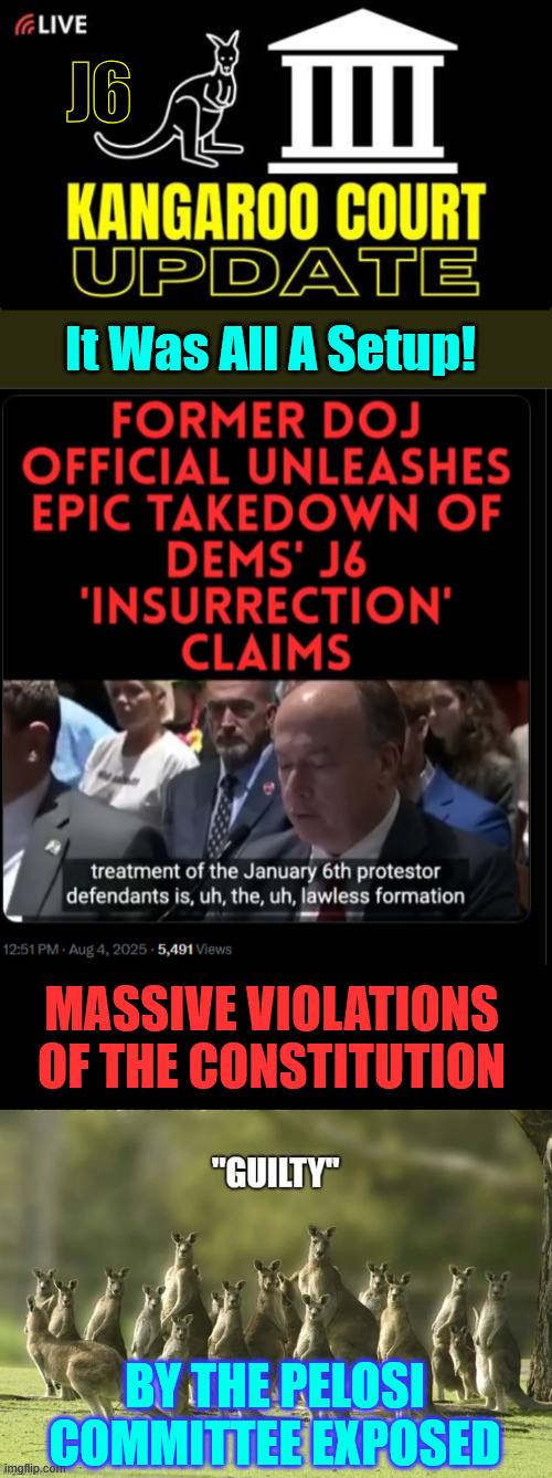 Good thing the autopen pardoned the Pelosi kangaroo committee | J6; It Was All A Setup! MASSIVE VIOLATIONS OF THE CONSTITUTION; BY THE PELOSI COMMITTEE EXPOSED | image tagged in jan 6 fedurrection exposed,violated constitutional rights of americans | made w/ Imgflip meme maker