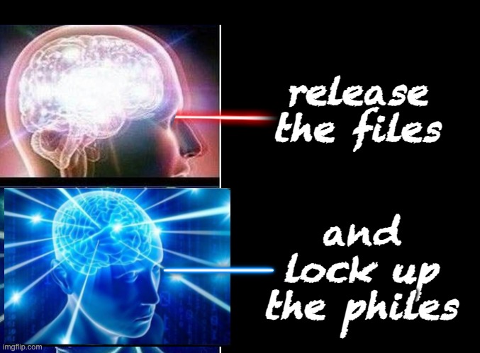 blank black | release the files and lock up the philes | image tagged in blank black | made w/ Imgflip meme maker