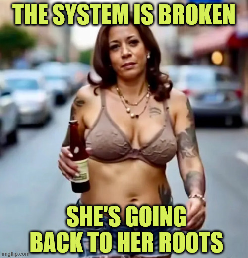 The system is broken | THE SYSTEM IS BROKEN; SHE'S GOING BACK TO HER ROOTS | image tagged in kamen rider,back to her roots | made w/ Imgflip meme maker