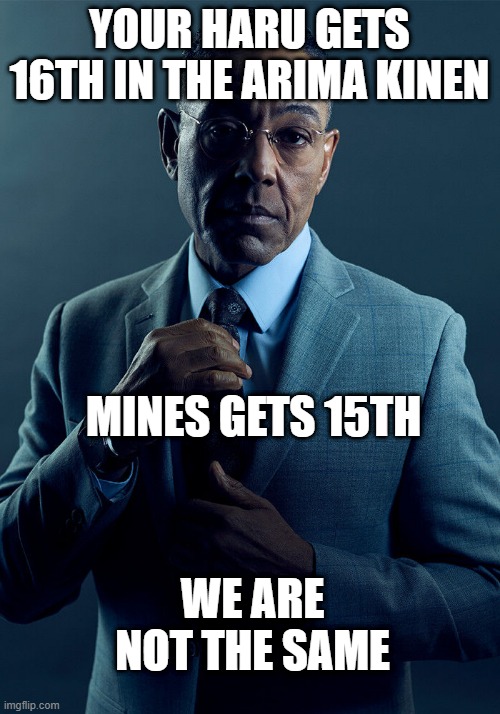 Gus Fring we are not the same | YOUR HARU GETS 16TH IN THE ARIMA KINEN; MINES GETS 15TH; WE ARE NOT THE SAME | image tagged in gus fring we are not the same | made w/ Imgflip meme maker