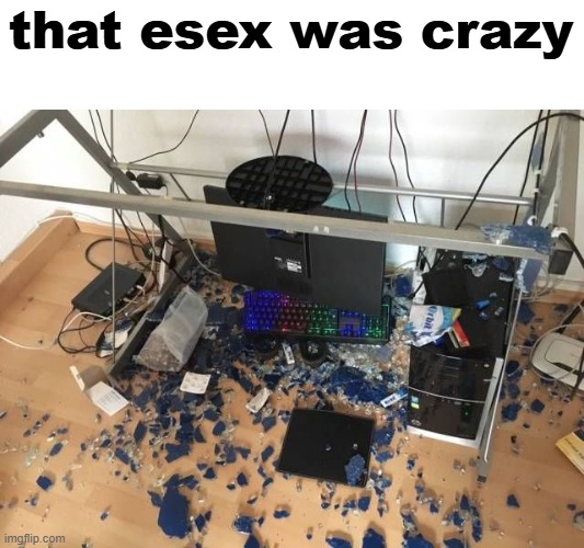 DAMN THAT ESEX WAS CRAZY | that esex was crazy | image tagged in damn that esex was crazy | made w/ Imgflip meme maker