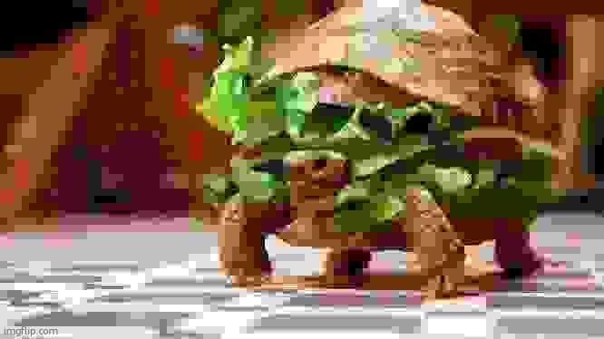 Tortoise sandwich | image tagged in tortoise sandwich | made w/ Imgflip meme maker
