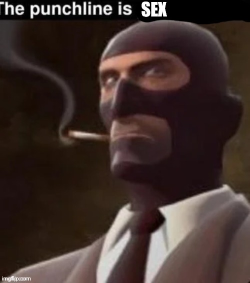 The punchline | SEX | image tagged in the punchline | made w/ Imgflip meme maker
