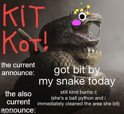 awsome sauce template by toelicker | got bit by my snake today; still kind burns :(
(she’s a ball python and i immediately cleaned the area she bit) | image tagged in awsome sauce template by toelicker | made w/ Imgflip meme maker
