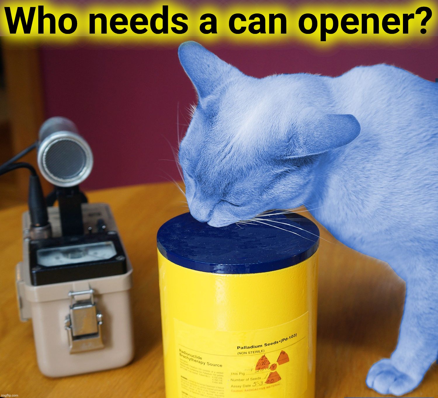 RayCat eating | Who needs a can opener? | image tagged in raycat eating | made w/ Imgflip meme maker