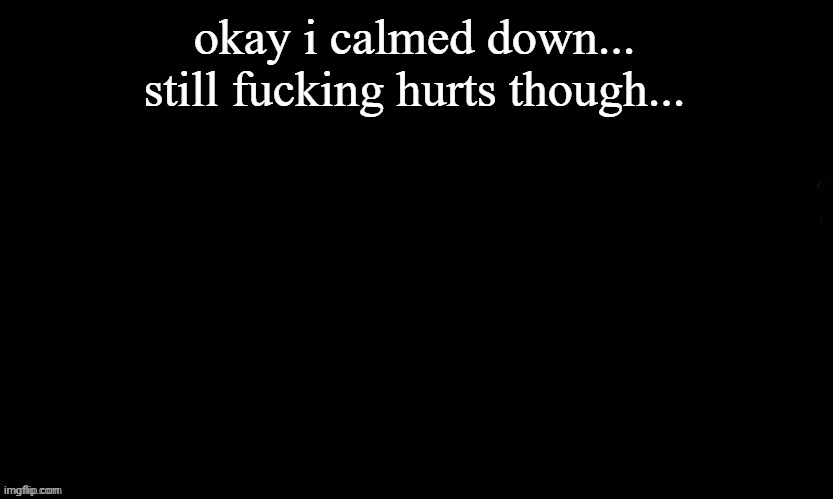 ... | okay i calmed down... still fucking hurts though... | made w/ Imgflip meme maker