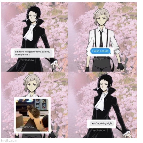 cant move...cat comfy | image tagged in bsd | made w/ Imgflip meme maker