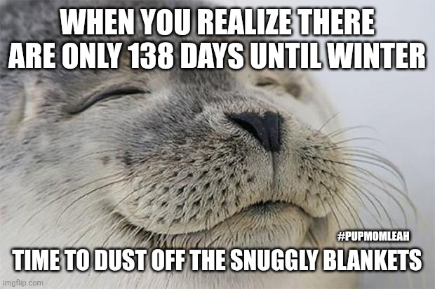 138 Days until Winter ❄️ | WHEN YOU REALIZE THERE ARE ONLY 138 DAYS UNTIL WINTER; TIME TO DUST OFF THE SNUGGLY BLANKETS; #PUPMOMLEAH | image tagged in memes,satisfied seal,snow,heatwave | made w/ Imgflip meme maker
