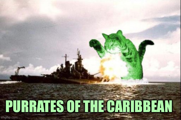 RayCatzilla | PURRATES OF THE CARIBBEAN | image tagged in raycatzilla | made w/ Imgflip meme maker