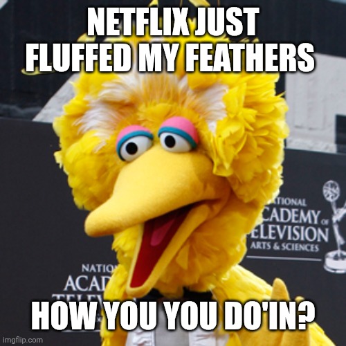 Big Bird Meme | NETFLIX JUST FLUFFED MY FEATHERS HOW YOU YOU DO'IN? | image tagged in memes,big bird | made w/ Imgflip meme maker