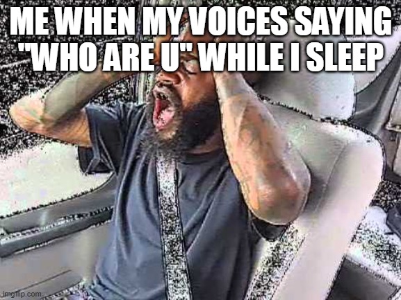 THE VOICES ARE LOUDER | ME WHEN MY VOICES SAYING "WHO ARE U" WHILE I SLEEP | image tagged in death grips static | made w/ Imgflip meme maker