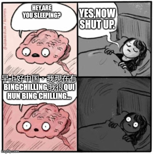 I cant understand chinese! | YES,NOW SHUT UP. HEY,ARE YOU SLEEPING? 早上好中国，我現在有 BINGCHILLING,我很QUI HUN BING CHILLING... | image tagged in brain before sleep | made w/ Imgflip meme maker