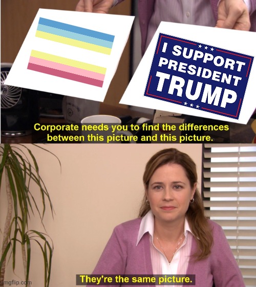 Pro-Trump flags are the new pedo/MAP pride flag | image tagged in memes,they're the same picture,donald trump,pedophilia,pride | made w/ Imgflip meme maker