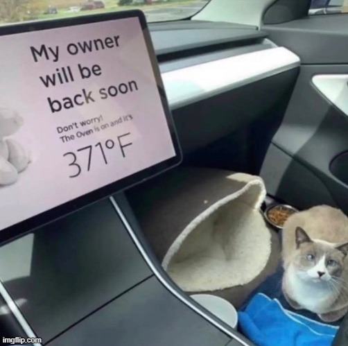 save him | image tagged in shitpost | made w/ Imgflip meme maker