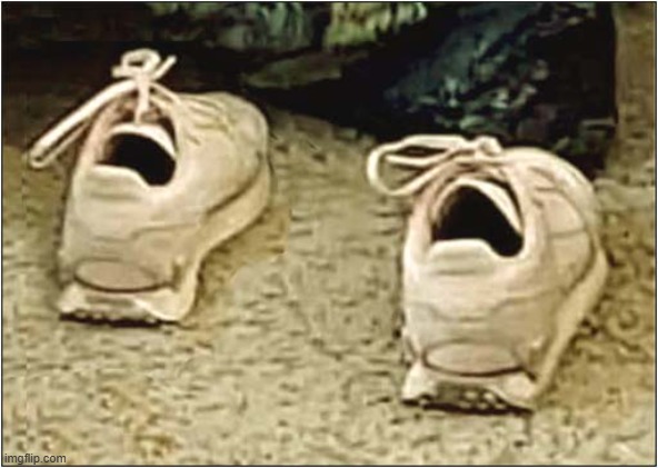 It Looks Like They Smell Bad ! | image tagged in trainers,bad smell | made w/ Imgflip meme maker