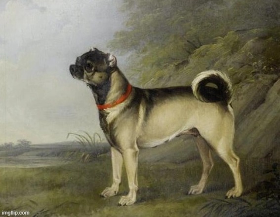 What pugs used to look like before we started inbreeding them | made w/ Imgflip meme maker