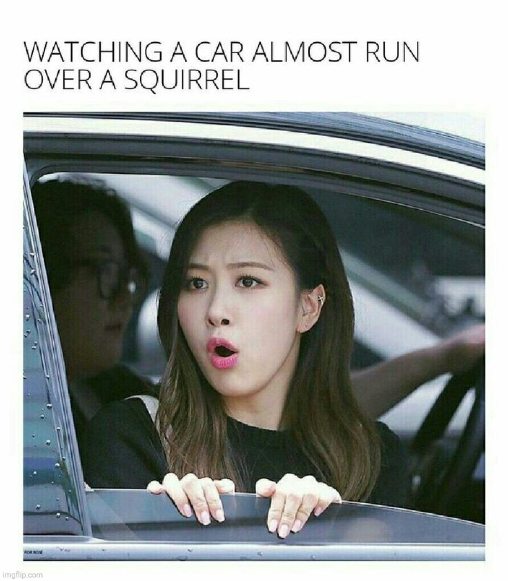 BlackPink Rose Meme Car Stuff | image tagged in memes,blackpink,funny,cars | made w/ Imgflip meme maker