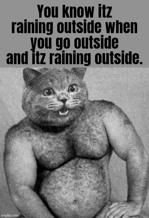 sexy cat | You know itz raining outside when you go outside and itz raining outside. | image tagged in sexy cat | made w/ Imgflip meme maker