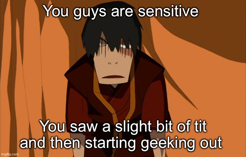 Zuko Flustered | You guys are sensitive; You saw a slight bit of tit and then starting geeking out | image tagged in zuko flustered | made w/ Imgflip meme maker