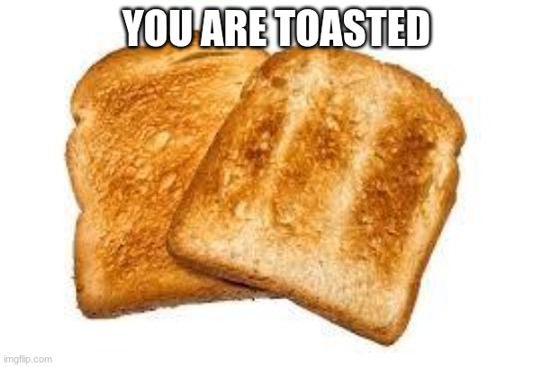 Toast | YOU ARE TOASTED | image tagged in toast | made w/ Imgflip meme maker