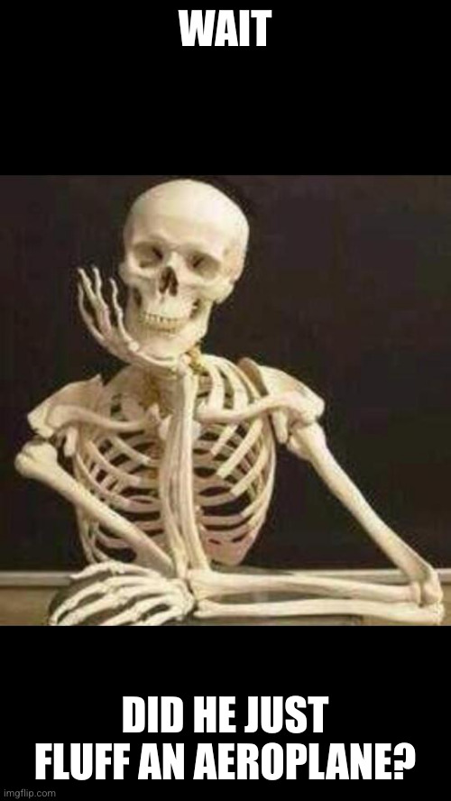 skeleton waiting | WAIT DID HE JUST FLUFF AN AEROPLANE? | image tagged in skeleton waiting | made w/ Imgflip meme maker