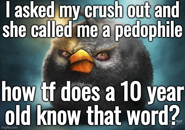 angry birds bomb | I asked my crush out and
she called me a pedophile; how tf does a 10 year
old know that word? | image tagged in angry birds bomb | made w/ Imgflip meme maker